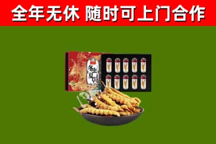 彰化回收冬虫夏草价格